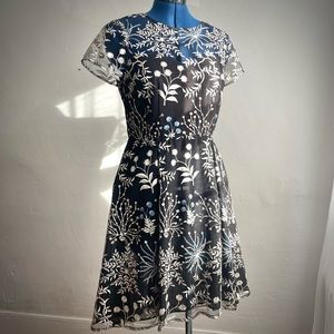 Adrianna Papell Fit and Flare Dress with Sheer Embroidered Overlay